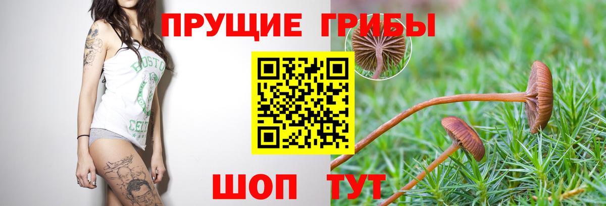 Галлюциногенные грибы ЛСД  Псилоцибиновые грибы MAGIC MUSHROOMS  Воскресенск  Вход с VPN 